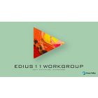 EDIUS 11 Workgroup | Grass Valley NLE